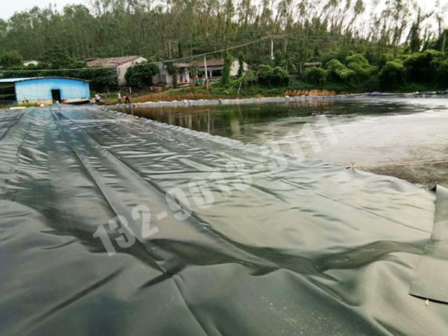 沼气池顶膜